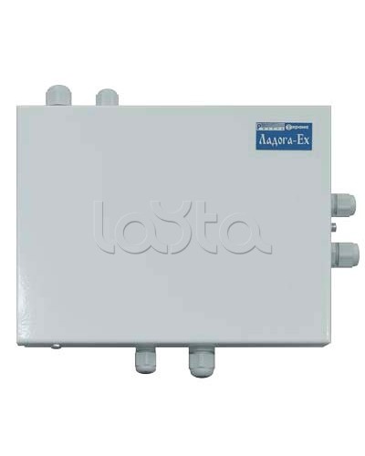 Блок расширения шлейфов сигнализации Риэлта БРШС-Ex в Хабаровске Системы охраны взрывоопасных объектов Pintop.ru