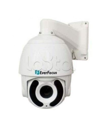 Камера видеонаблюдения поворотная купольная EverFocus EPA-6220 в Хабаровске Аналоговые камеры Pintop.ru